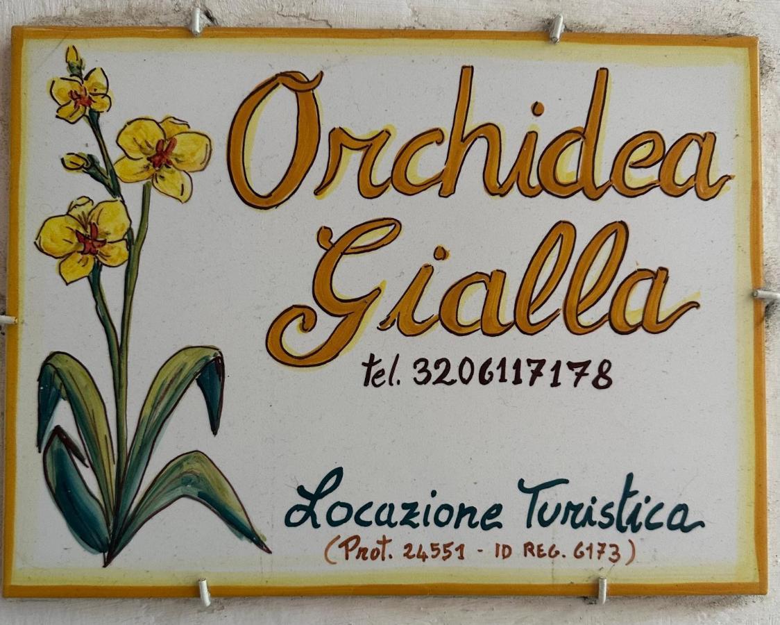 Orchidea Gialla Gaeta Buitenkant foto